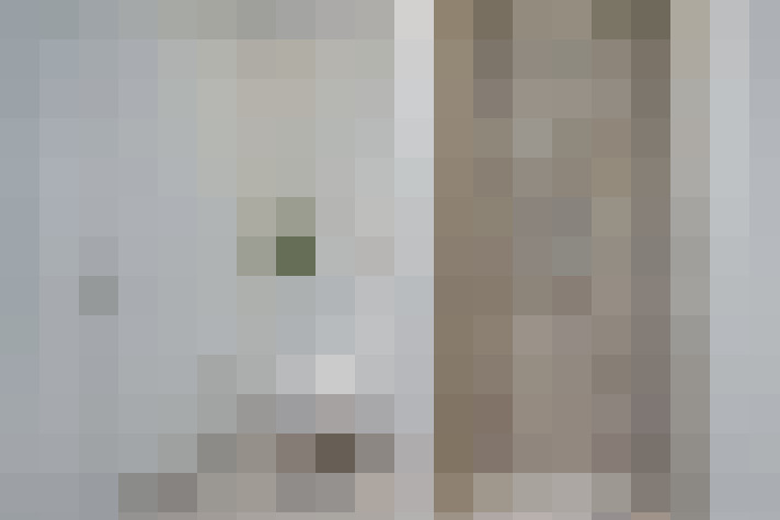  / #18