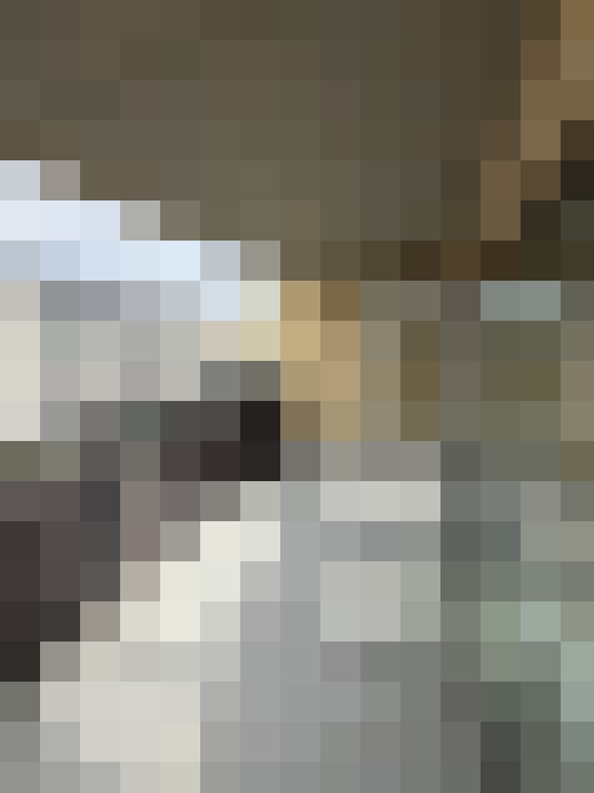  / #14