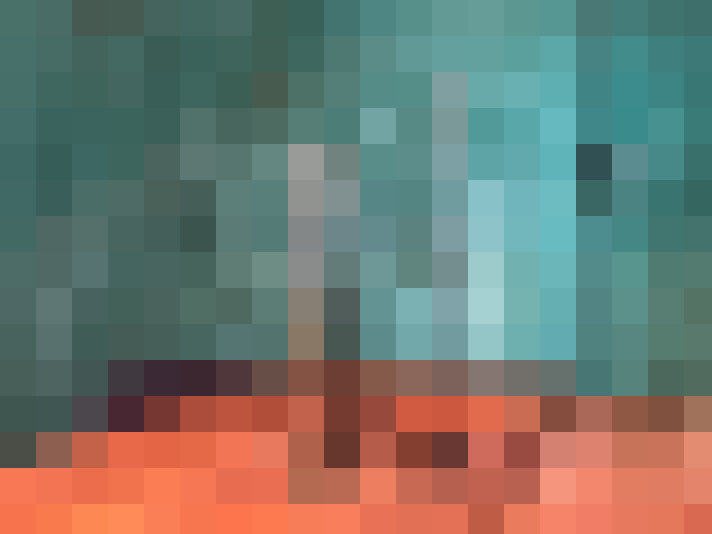  / #9