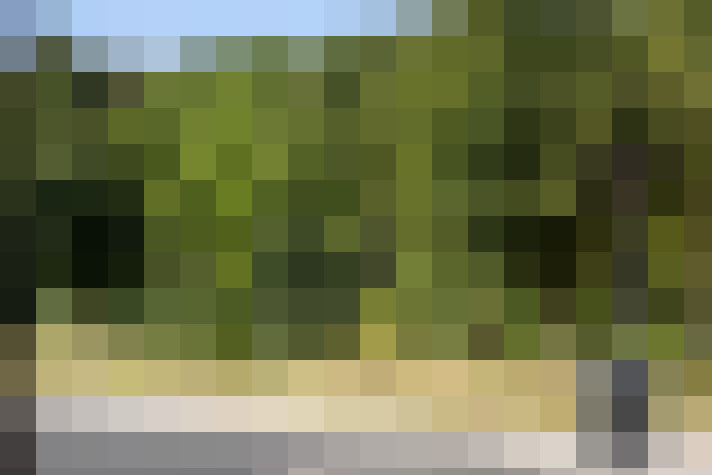  / #14