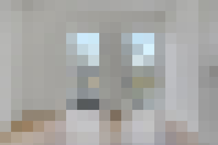 / #19