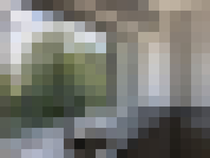  / #15