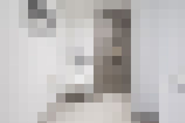  / #15