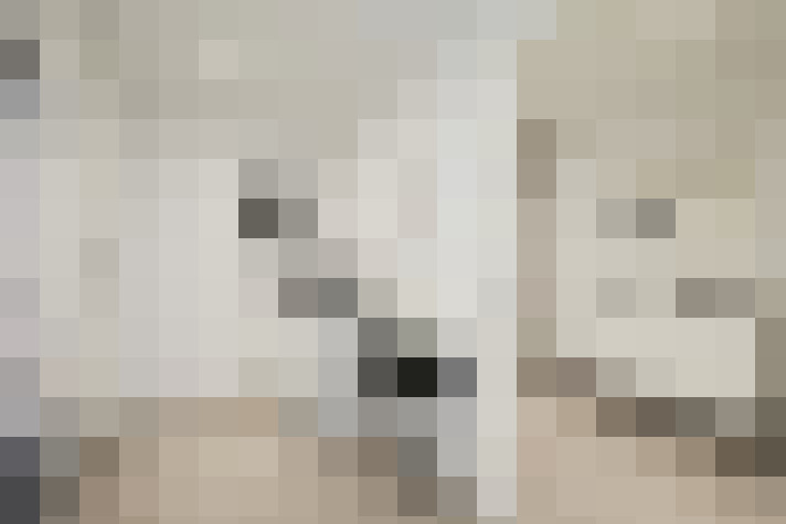  / #17