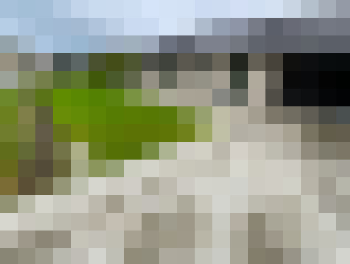  / #23