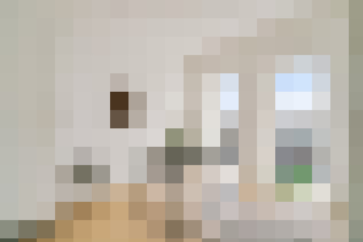  / #13