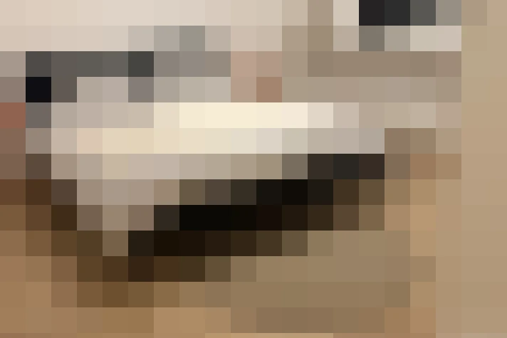  / #19