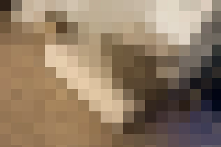  / #17
