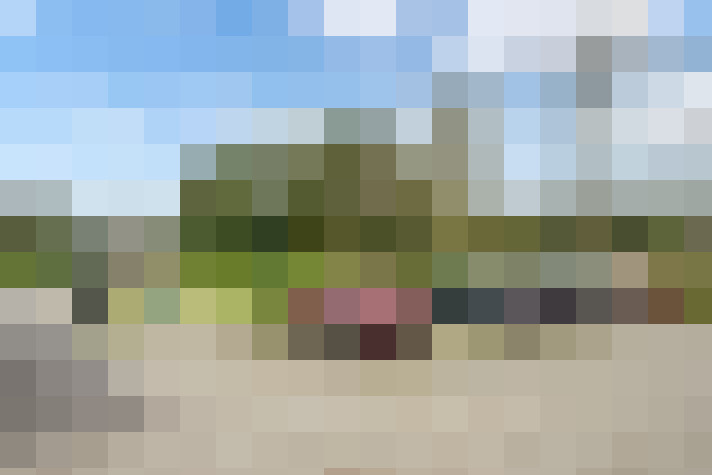  / #15