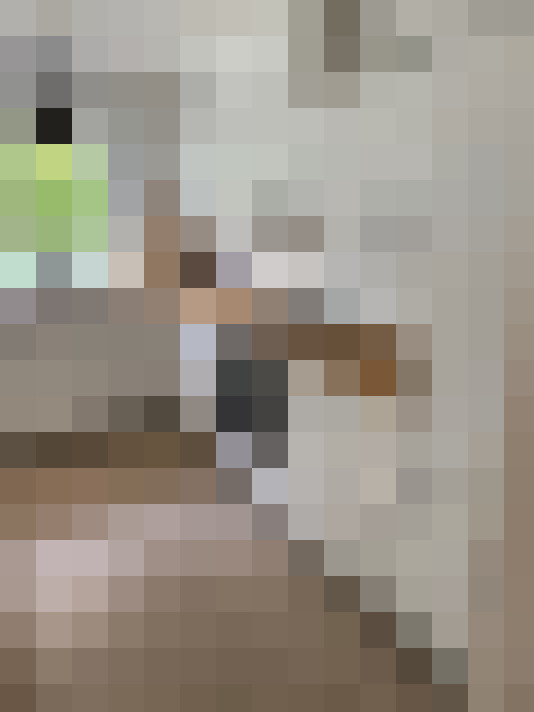  / #15
