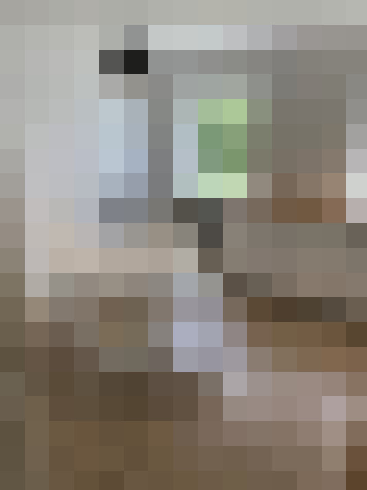 / #16