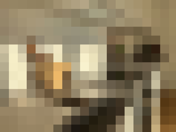  / #13