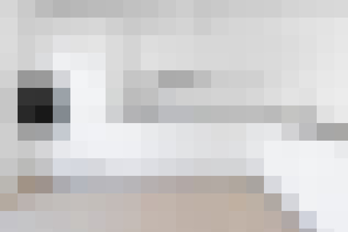  / #6