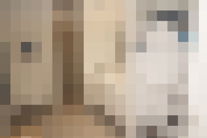  / #16