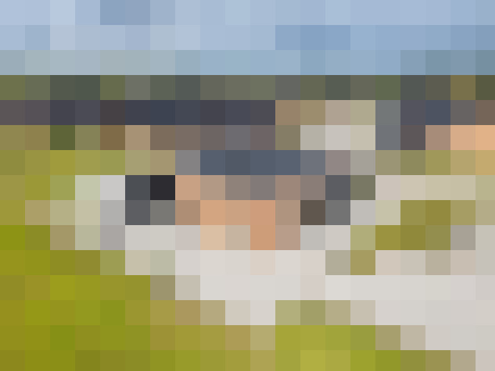 / #14