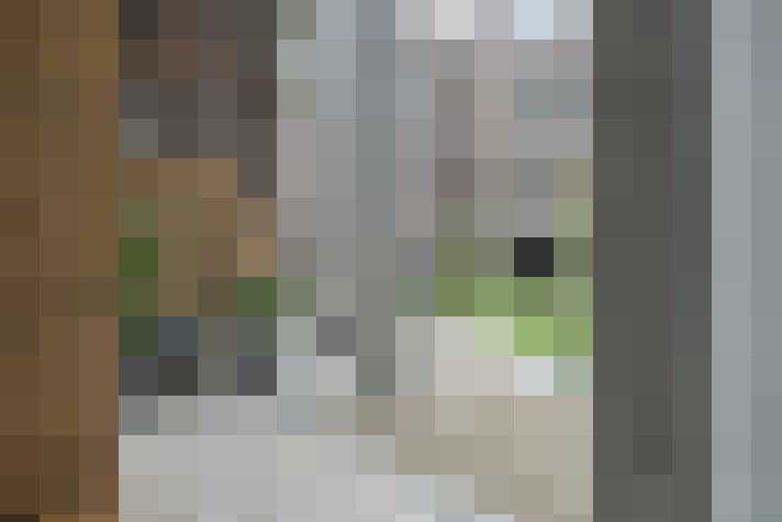  / #17