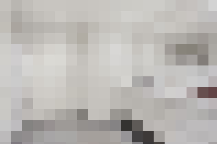  / #15