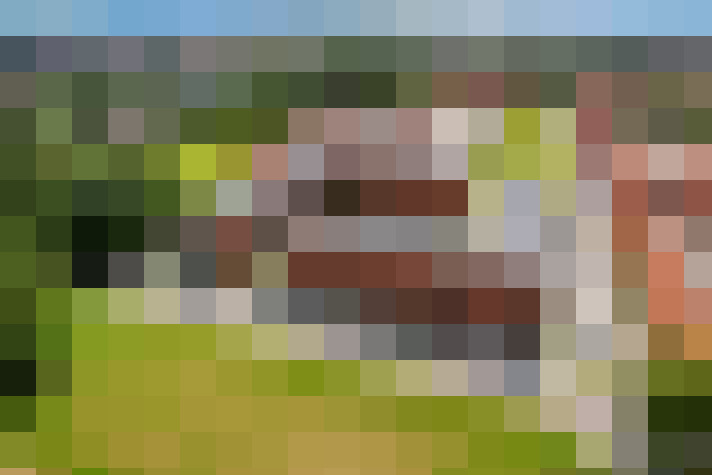  / #14
