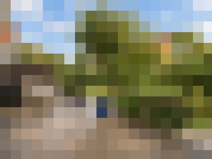  / #19