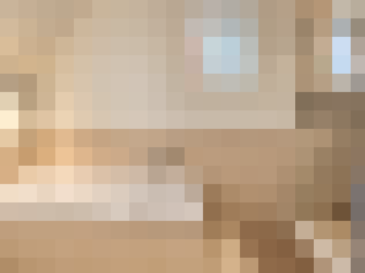  / #13