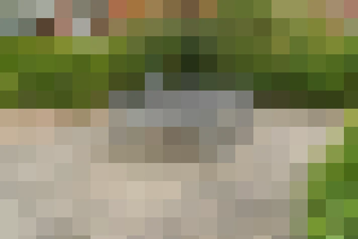  / #11