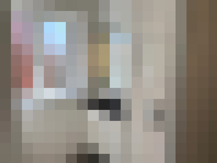  / #7