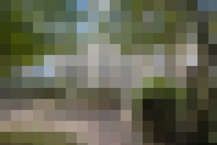  / #15
