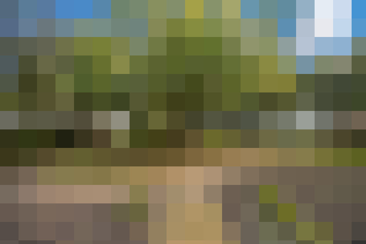  / #14