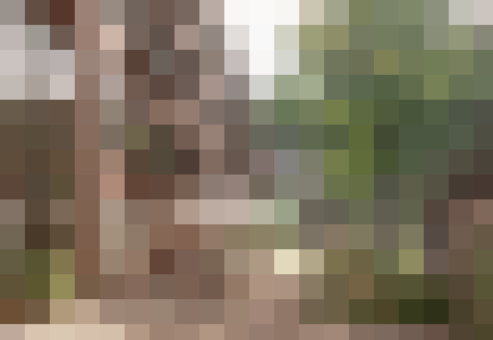  / #16