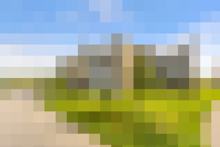  / #17
