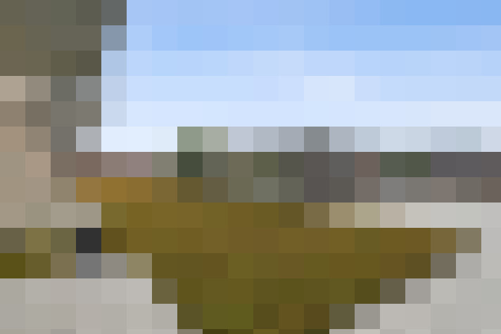  / #11
