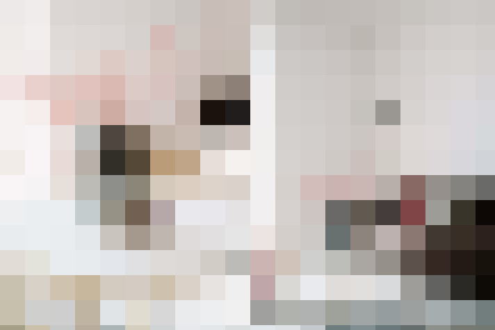  / #22