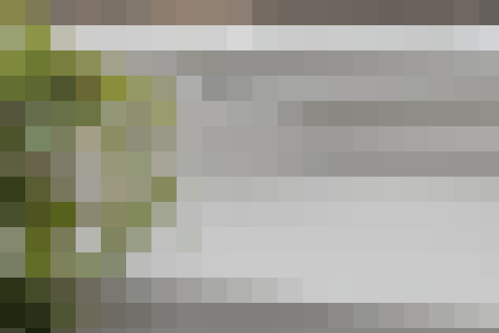  / #16