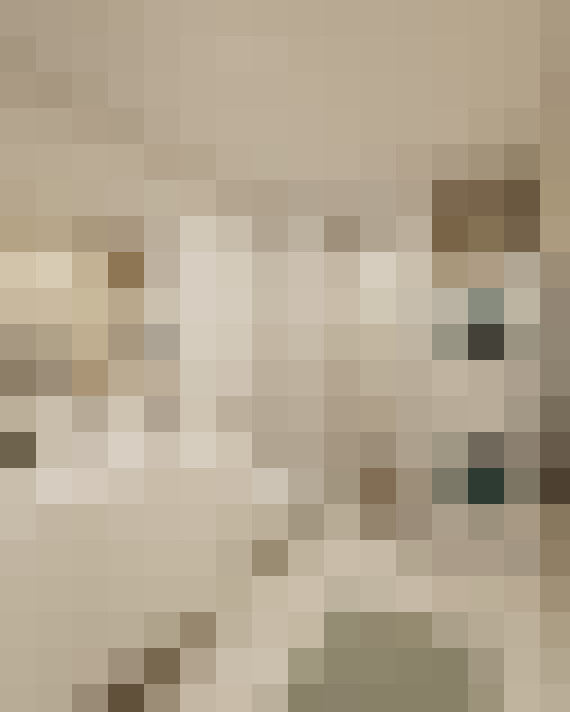  / #2