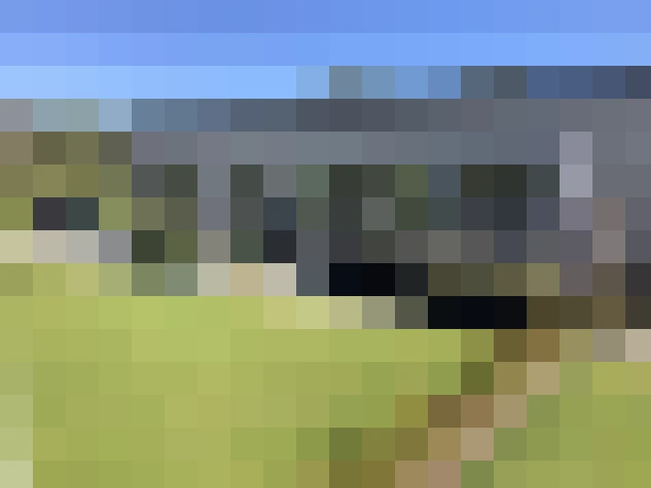  / #16