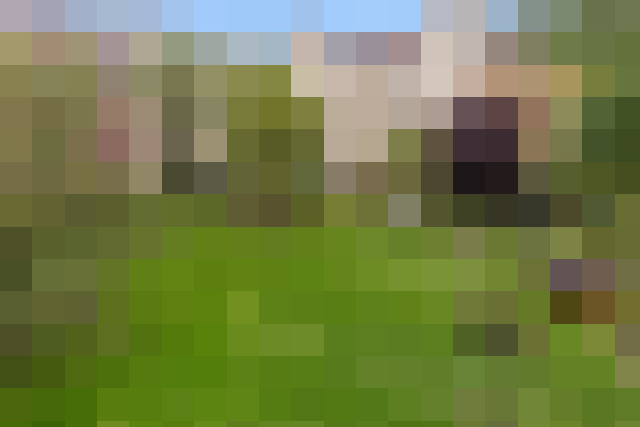  / #15