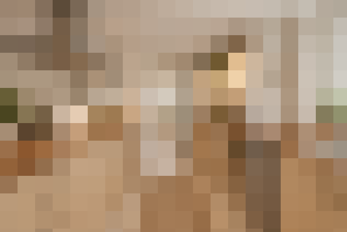  / #8