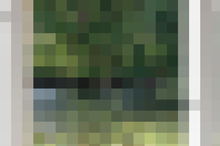  / #20