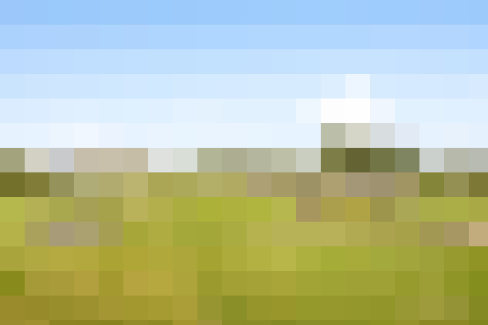  / #16