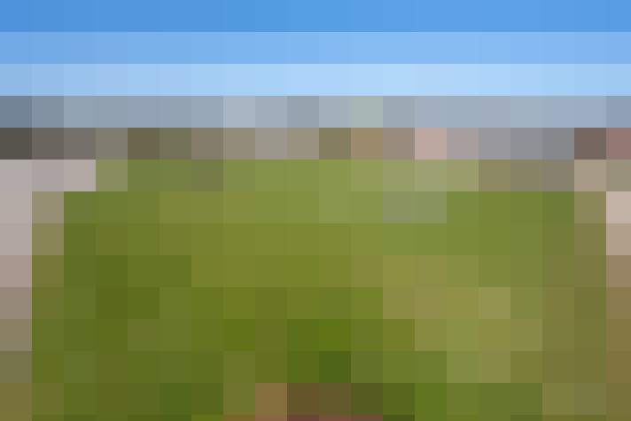  / #11